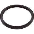 Silicone Pool Light, Zodiac, Gasket, LED RGBW Light