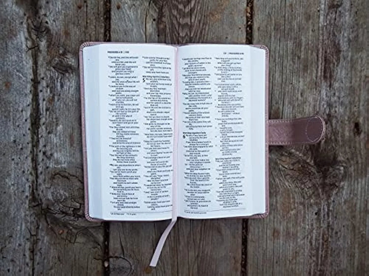 Pocket Thinline Print Niv, Snap (Other) Letter, Bible, Closure, Leathersoft, Pink, Comfort Red