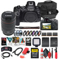 Card 2 + 64GB External + Camera Photo + EOS x LPE6 Software R6 Memory Case Reader Card Corel Mirrorless + + + f/4 II Mark 24-105mm + with Light + Charger Canon Battery Lens (5666C011) More LED