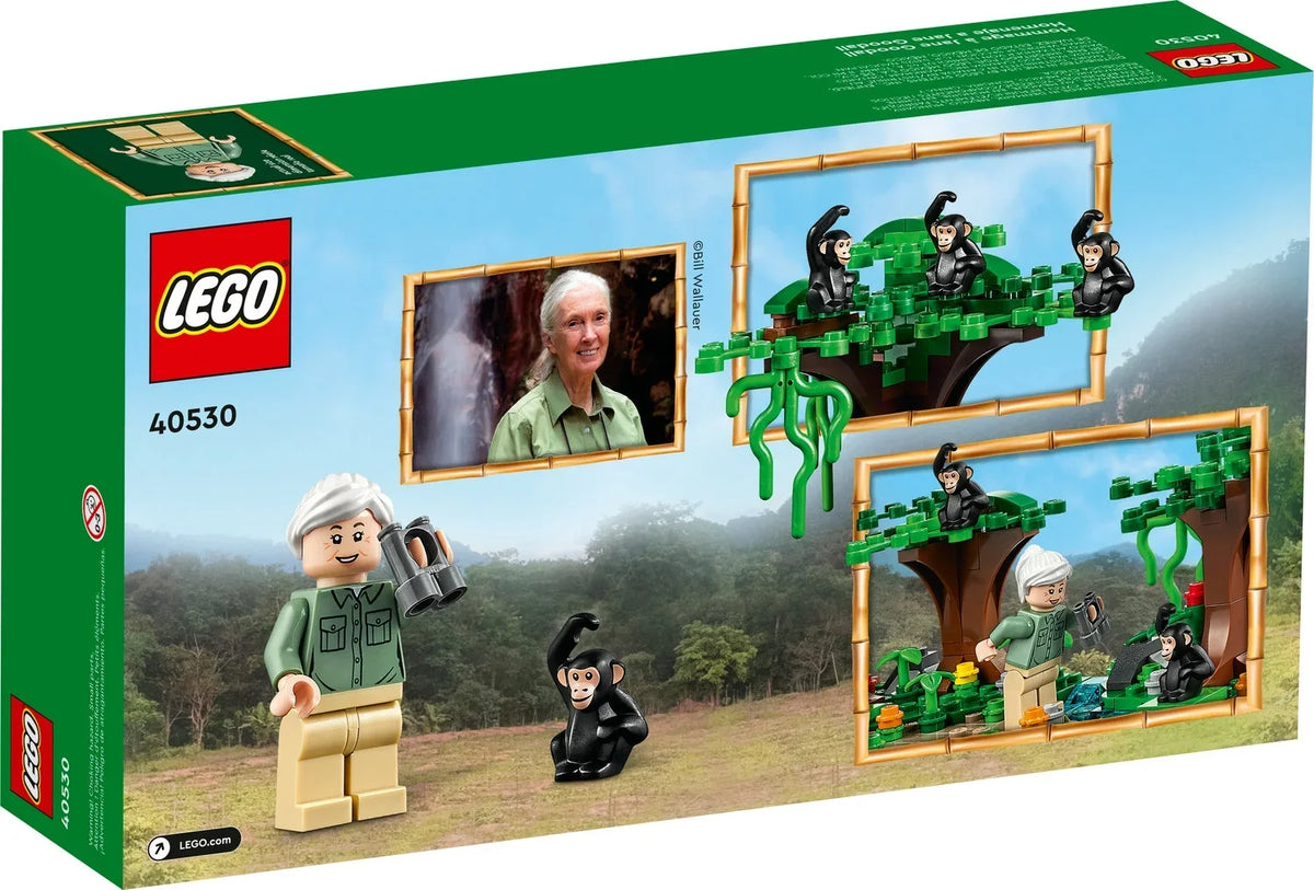 LEGO Jane Tribute 40530 Goodall