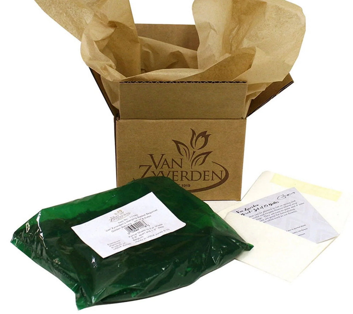 Van Set Pollinator Sea Jos Plant Full Sun Zyverden Perennial 3 lb 1 Roots Eijking of Blue Holly