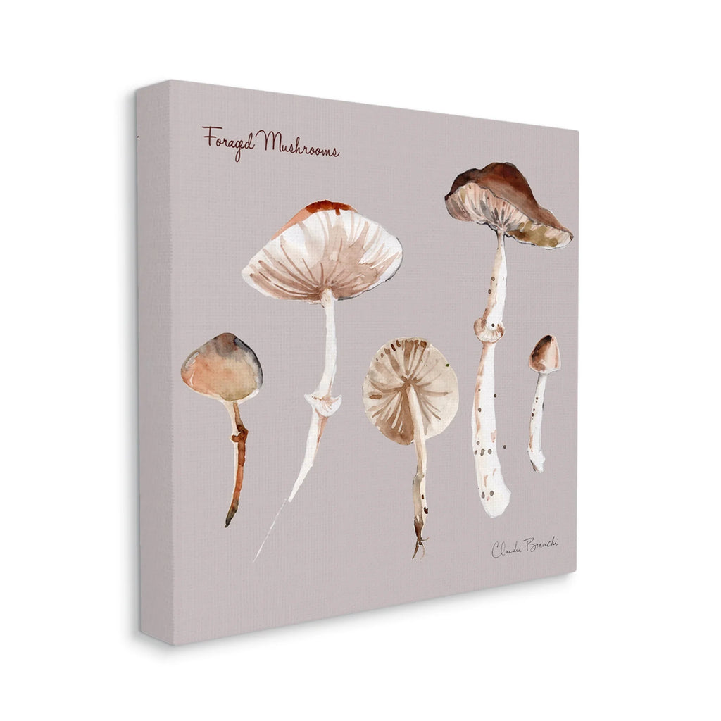 Wrapped 36 Print Study 36 Painting Botanical Mushrooms Canvas Art, Gallery Wall Stupell Floral & x Art Industries Foraged