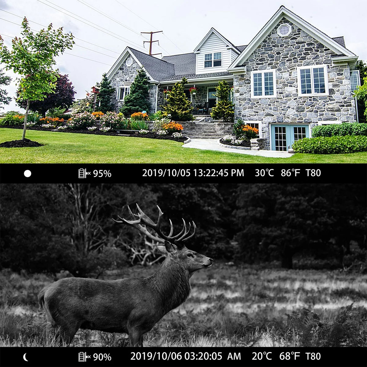 Vision 1296P Bluetooth Trail Night 30MP Hunting CAMPARK WiFi Wildlife Motion Game for Camera Camera Infrared Monitoring with Activated Trail with IP66 Waterproof Camera