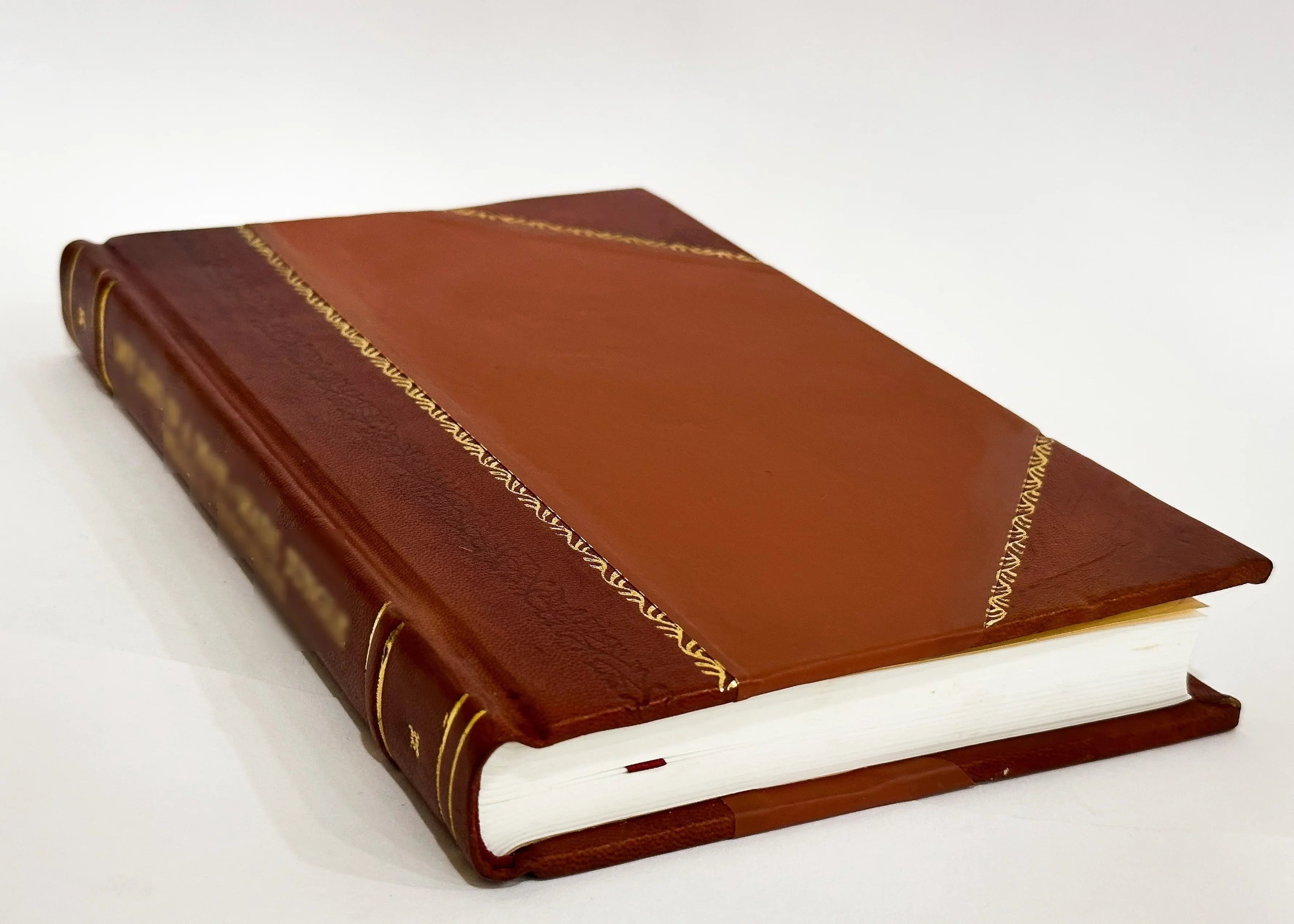 (1911) Bound] Giovanni Lombardia [Leather Eroica / (1911) Bertacchi