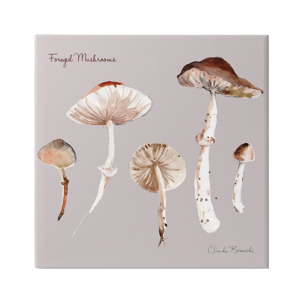 Wrapped 36 Print Study 36 Painting Botanical Mushrooms Canvas Art, Gallery Wall Stupell Floral & x Art Industries Foraged