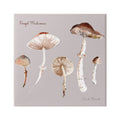 Wrapped 36 Print Study 36 Painting Botanical Mushrooms Canvas Art, Gallery Wall Stupell Floral & x Art Industries Foraged