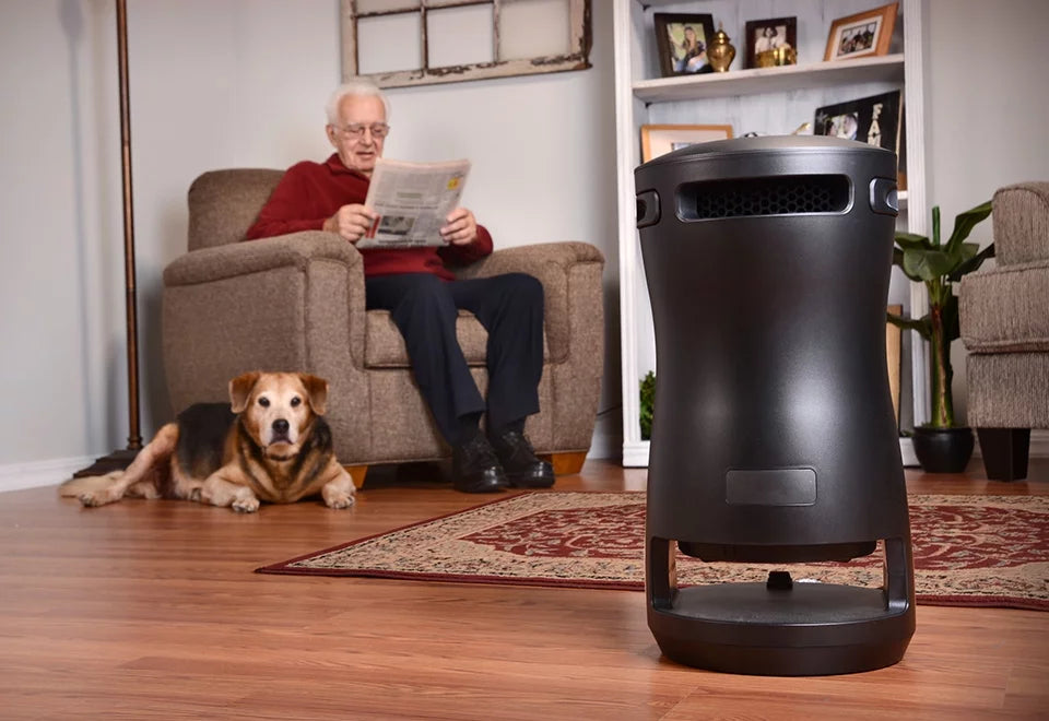 System 2-in-1 Portable and Heating Cooling EdenPURE