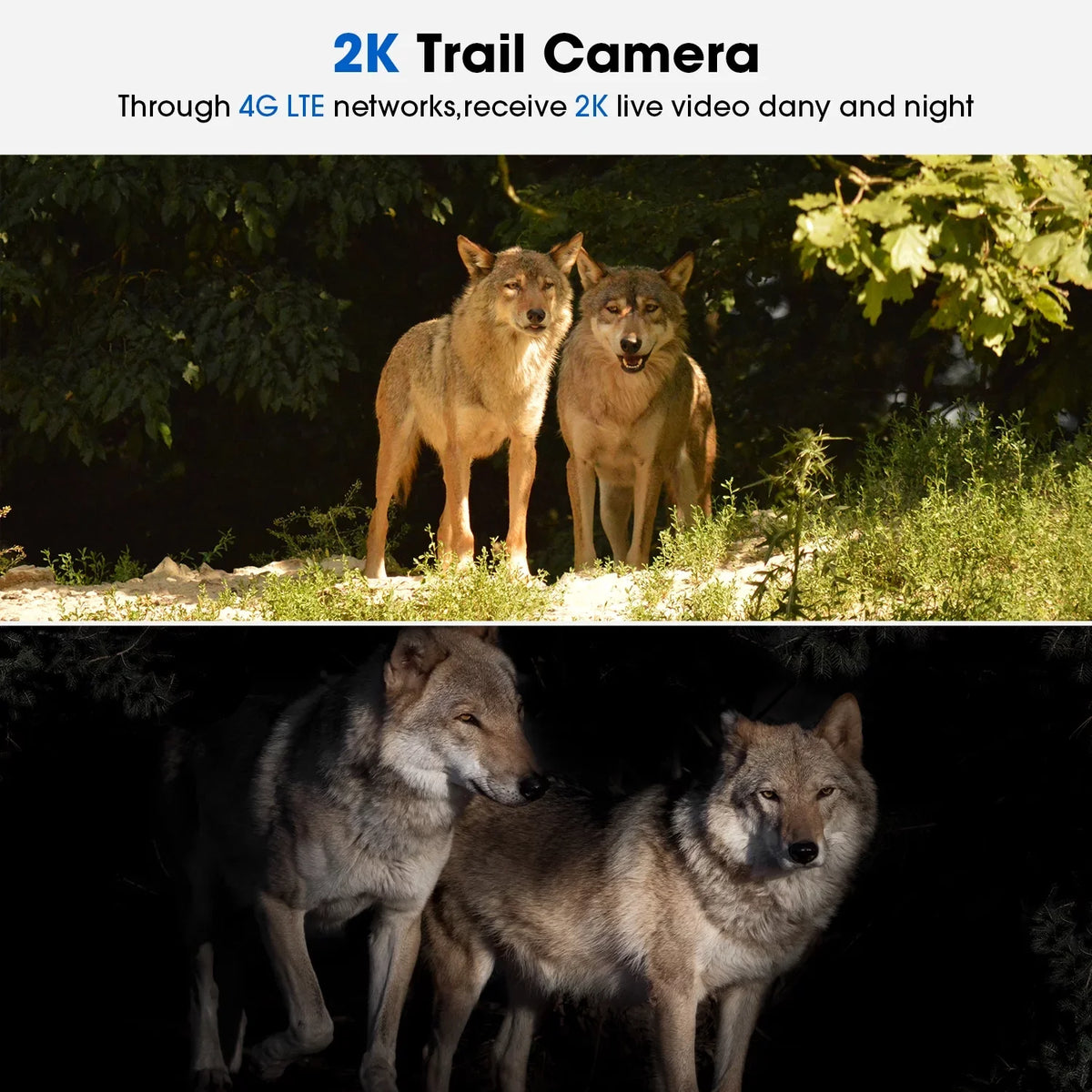 Cam Game Hunting Wireless 90°Tilt, Trail LTE, Card SIM Night Camera WiFi Cellular with Motion, PIR 4G CAMPARK Security Solar No Cloud Live Vision, 2K 360°Pan View, Camera Storage, Waterproof, with &SD