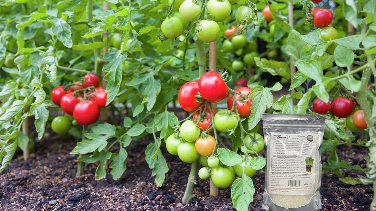 for The Potassium Regulate Plant Pounds Polyacrylate of Keep Soil Moisture ph and 45