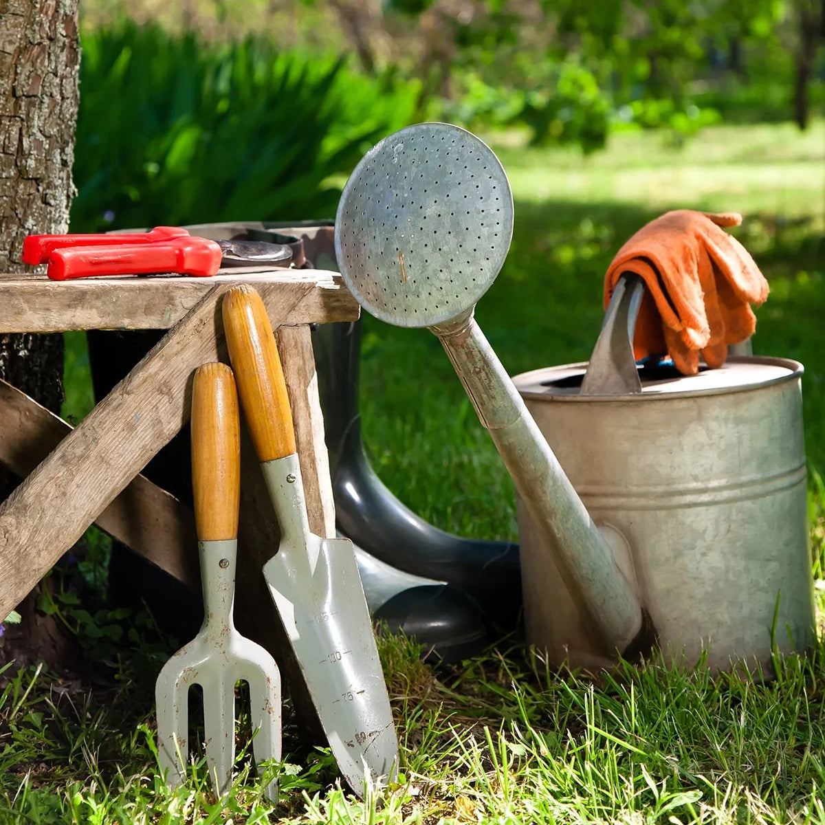 Van Set Pollinator Sea Jos Plant Full Sun Zyverden Perennial 3 lb 1 Roots Eijking of Blue Holly