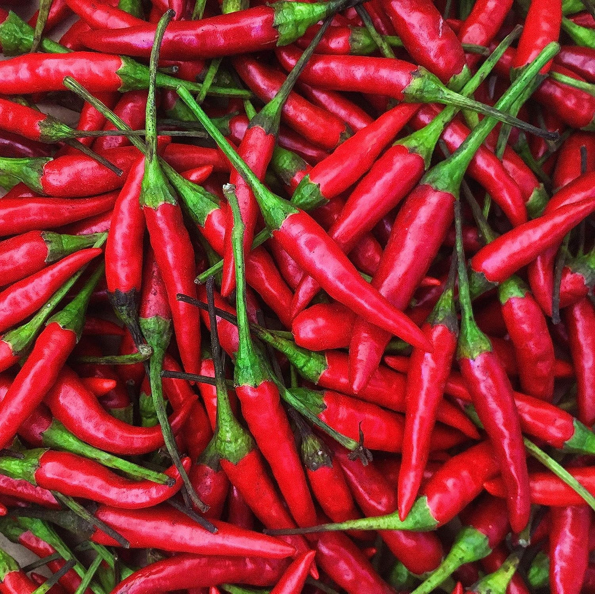 Chili Peppers Lb oz) -1 Fresh Thai Red (16