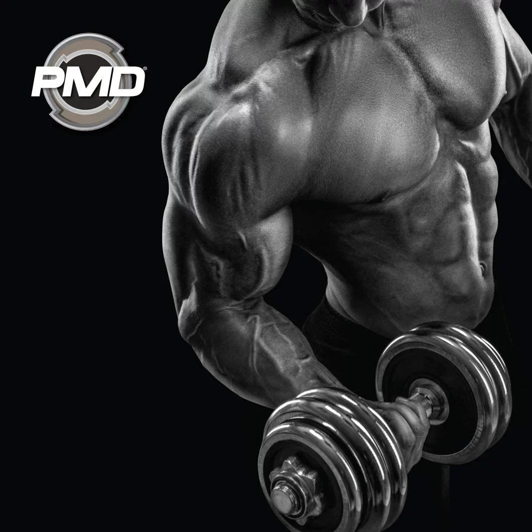 Supplement Arginine Exercise, Hardcore Boost with - Agmatine Sports Growth Training, Nitro for (90 and Endurance Capsules) - - Pre-Workout - cm Workout Nitric Pre with L Muscle PMD Oxide Bodybuilding