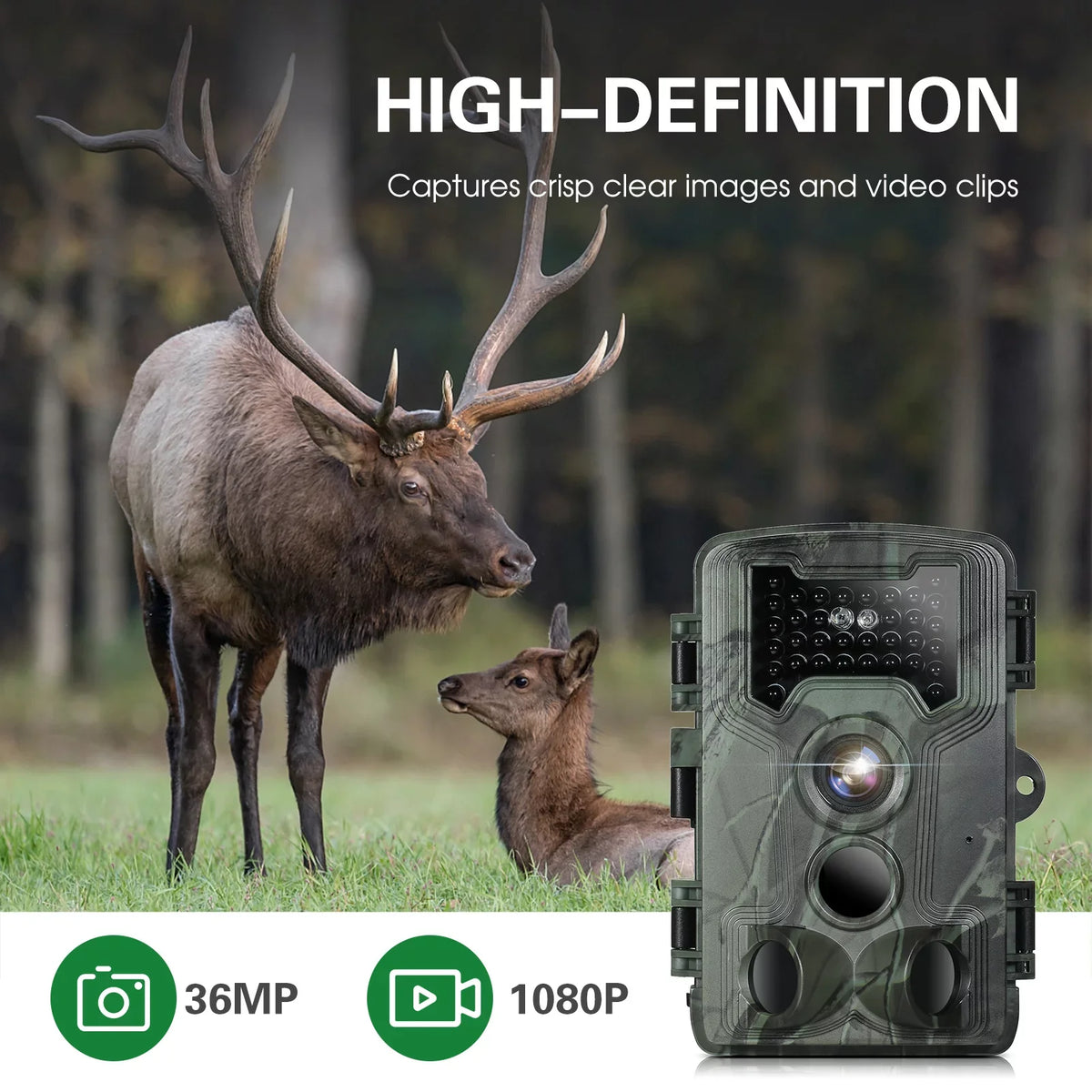 Trail Camera, Researching Waterproof and 36MP Game for Vision Wildlife 1080P Camera Night