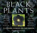 Pre-Owned for 9780881929812 Garden the 0881929816 Striking Choices 75 (Paperback) Plants: Black