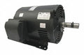 RPM,230/460V,254/6T 4GZC7 Motor,20 HP,1,770 Dayton GP