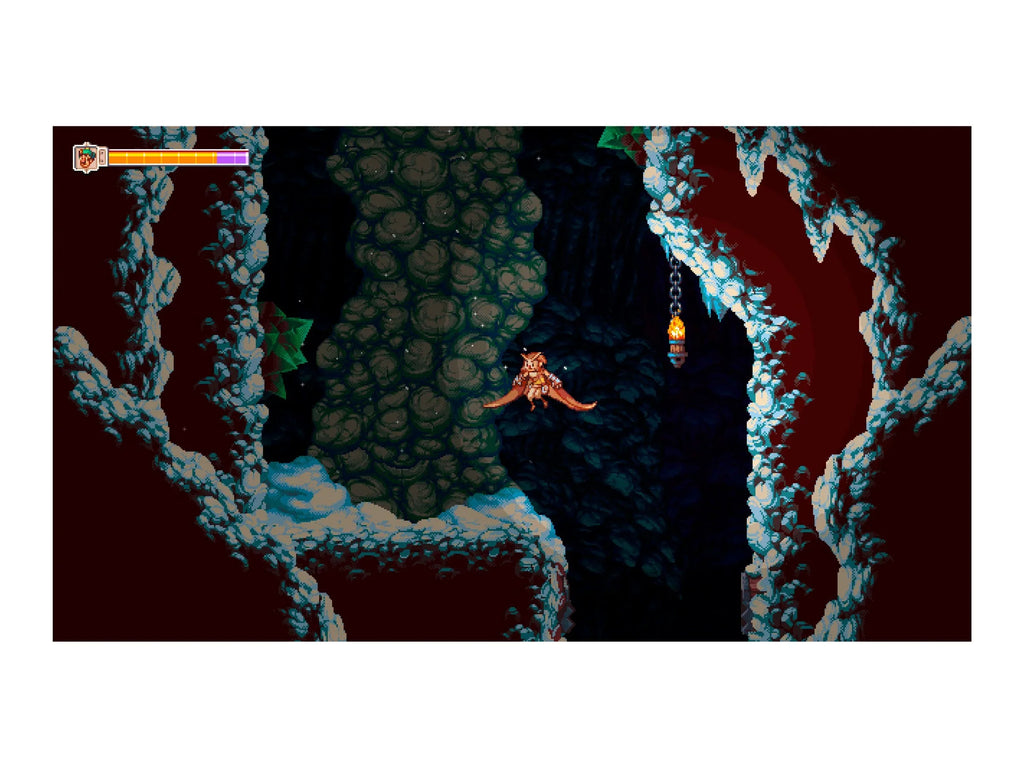 Switch, Owlboy, Soedesco, Nintendo 852103006065