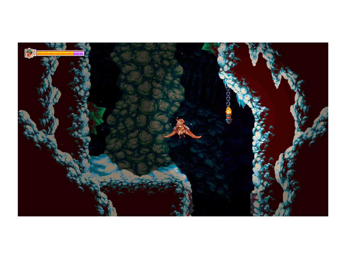 Switch, Owlboy, Soedesco, Nintendo 852103006065