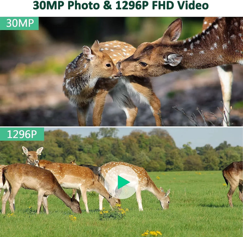 Vision 1296P Bluetooth Trail Night 30MP Hunting CAMPARK WiFi Wildlife Motion Game for Camera Camera Infrared Monitoring with Activated Trail with IP66 Waterproof Camera