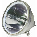 Replacement LG Lamp Housing with Original with RE-44SZ21RD 90 Warranty Days
