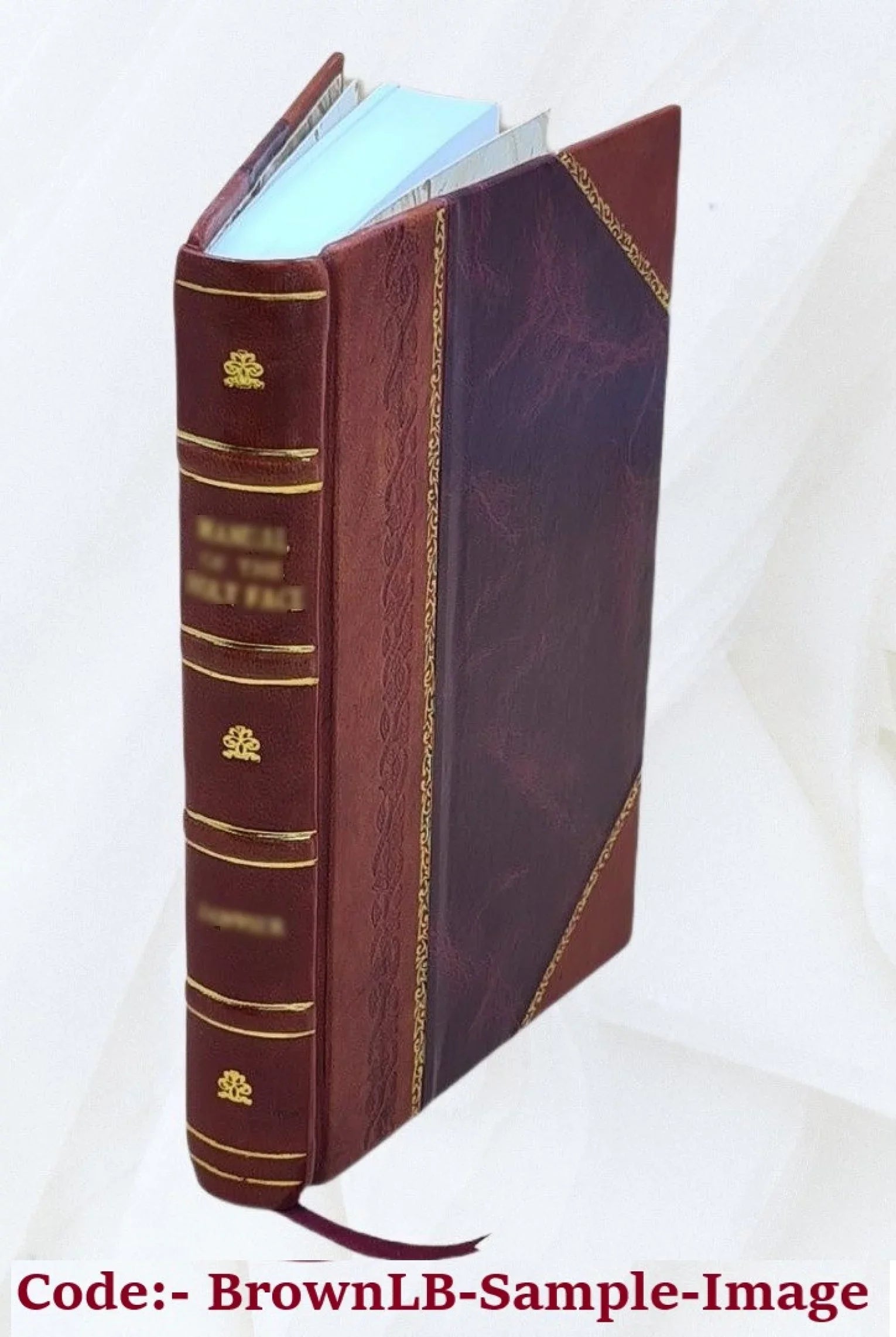 and Bound] cities. gold-mines Midianite the 1878 of ruined The Midian [Leather