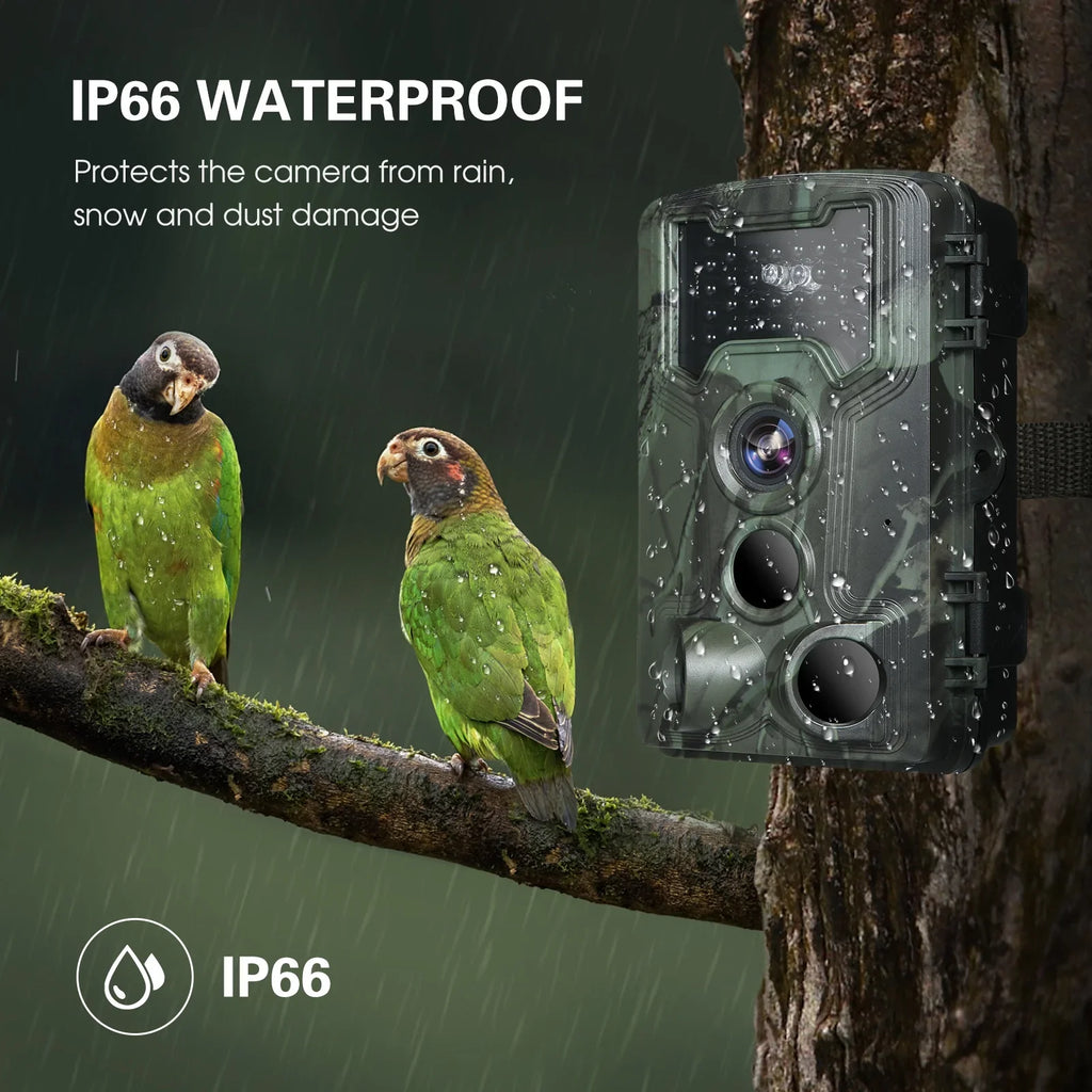 Trail Camera, Researching Waterproof and 36MP Game for Vision Wildlife 1080P Camera Night