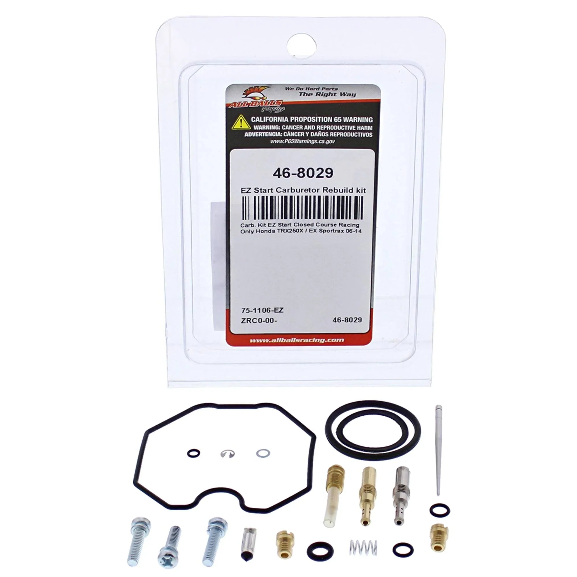 2011 2006 2010 kit 2009 EX Racing / EZ Honda 2012 2007 (46-8029) TRX250X Balls Carburetor For Compatible 2008 2014 Start 2013 All With/Replacement Sportrax Rebuild