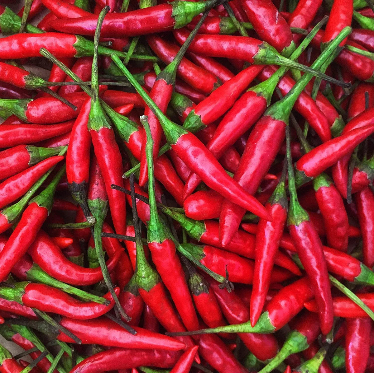 Chili Peppers Lb oz) -1 Fresh Thai Red (16